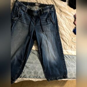 Torrid Relaxed Fit Dark Blue Jeans
